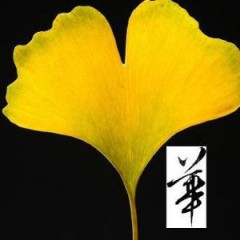 谷華物理
